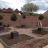 parterre takes shape
