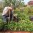 Josh planting the main beds