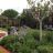 Main beds in bloom