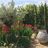 Mediterranean feel